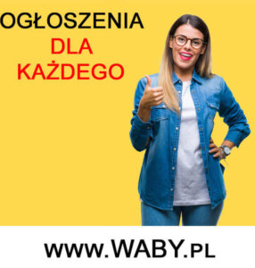 Gewerbe bez zameldowania Niemczech carebiuro.com